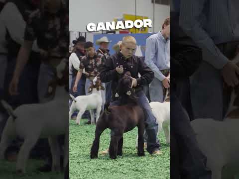 Este niño parecía enojado pero paso esto ❤️😲