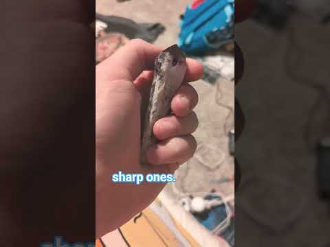 last one isnt very sharp ik #witch #witchcraft #crystals #crystalsforlife #protection