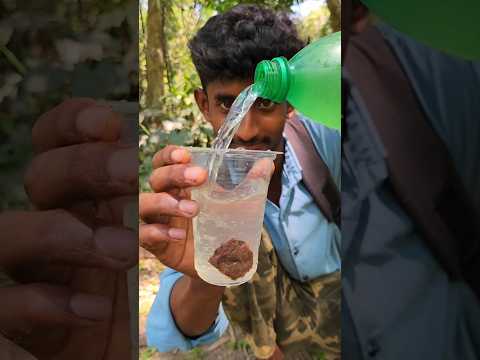 Easy bushcraft technique💡 #camping #bushcraft #facts #ideas #skills #lifehacks #outdoors #shorts