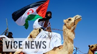 YouTube video thumbnail: The Sahara's Forgotten War