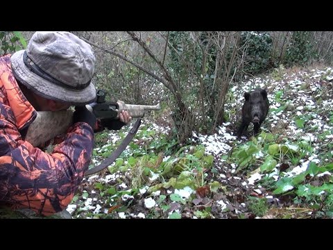 Teke tek /  One on one (wild boar hunting)