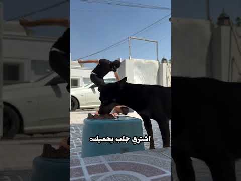 اوكف بس خل اكمل واجي انقذك:🗿😂💔