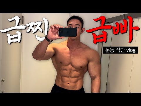 VLOG 급하게 살 빼는 방법 운동 브이로그