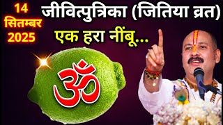 On the day of Jivitputrika/Jitiya fast on 14th September, do a remedy involving green lemon || Pr...