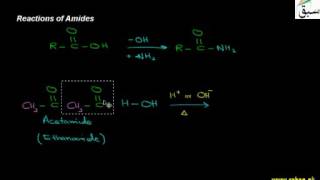 Reactions of Amides