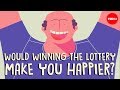Exploring Happiness and Wealth: The Lottery Effect