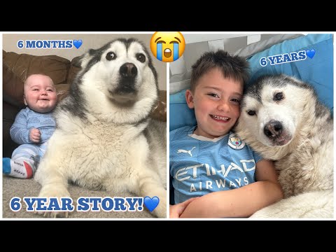 The 6 Year Time Lapse Of My Baby & Husky Becoming Best Friends! [EMOTIONAL!]