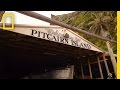Pitcairn Islands Marine Reserve Insights