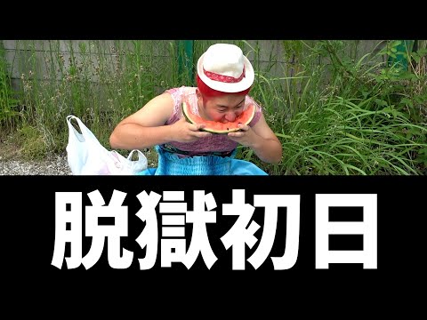 【爆笑】思う存分編集でツッコんだら腹筋崩壊wwww【ドンテンタン散歩・食べ歩き・街ブラ・ツッコミ・グルメ・大食い・ガチャ・1000円ガチャ・コスプレ・大阪】