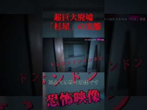 杉屋怪奇ファイル② #ライブ #恐怖 #怪現象