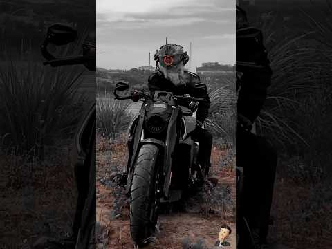 ??subscribe please video ? #mt15 #biker #motorbike #smartphone #film #viralrides #rider#editing