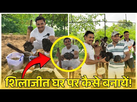 शिलाजीत की सच्चाई । असली शिलाजीत कैसे बनती है ।