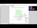 Area and Estimation Concepts