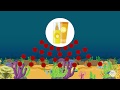 Biodegradable Beads and Coral Reefs
