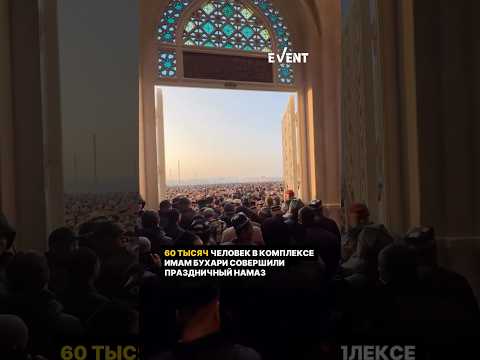 ТАКОГО МИР ЕЩЕ НЕ ВИДЕЛ