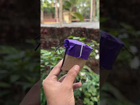 വണ്ട് 🐝🐝 || Rs : 75 || Royal Fireworks Dum Dum #vishu2025 #padakkam #aviyaltube