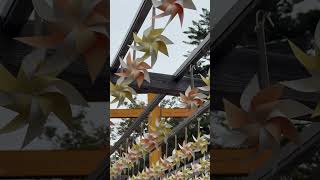 日本-琦玉：參拜者療癒時刻！穿越風車小徑、鳥居、造訪「冰川神社」祈求良緣/Japan-Kawagoe Hikawa Shrine/2026 September#川越#kawagoe#氷川神社#日本