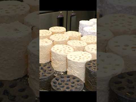 이게 뭐야?! 싱크로율 99% 부산 영도 명물 연탄빵 / briquette-shaped cream bread / Korean street food #shorts