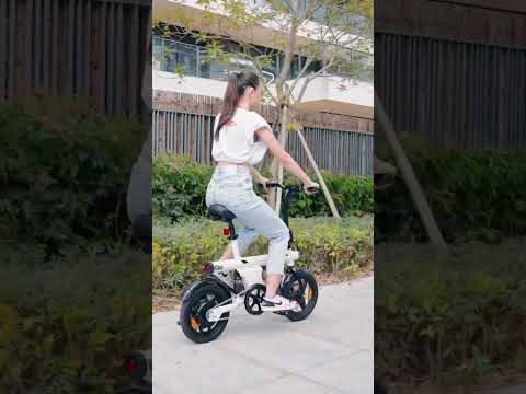 U1 Folding Electric Bike