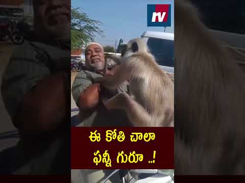 ఈ కోతి చాలా ఫన్నీ గురూ ..! || #trending #viralnews #viralvideo #viralshort #trendingshorts #shorts |