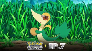 Pokémon: Black & White | EP. 7 | Snivy Memikat Sebelum Ditangkap?! | Pokémon Indonesia