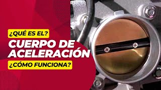El Cuerpo de Aceleración Electrónico - Cuidados y Limpieza