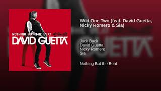 David Guetta - Wild One Two