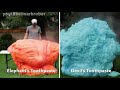 Devil's Toothpaste Reaction Properties