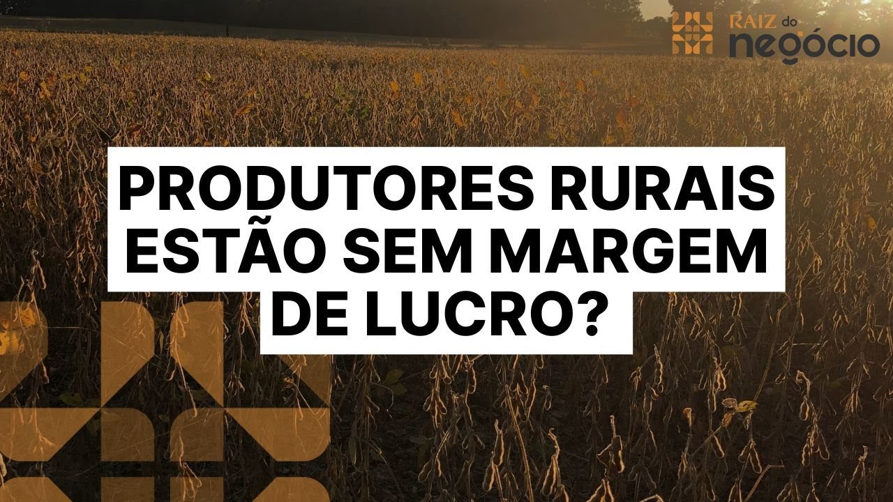 Pessimismo para a próxima safra de soja e redução das margens dos produtores rurais |Raiz do Negócio