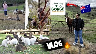 Australia Vlog | Gorge wildlife park with A.T Gaming