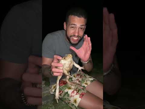 Como tirar um SAPO do seu quintal! | George Xavier #shorts #sapo