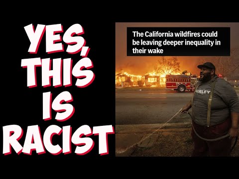 Hollywood LA Fires hurt BLACK people the most! Minorities are real target of fires says leftists!