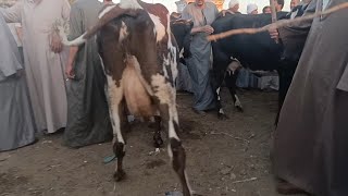العيب واضح وضوح الشمس وبرده بيكذبنى مش عارف انتم عايزين ايه من الفلاحين 