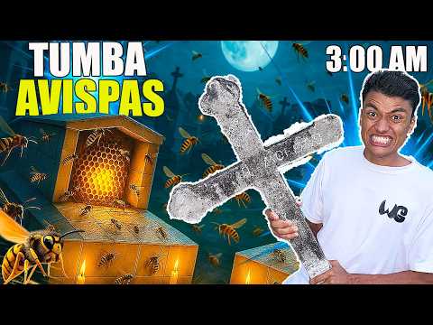 Tumba Avispas  A Las 3:00 AM 🐝 *No Estábamos Solos* - Andrés WG