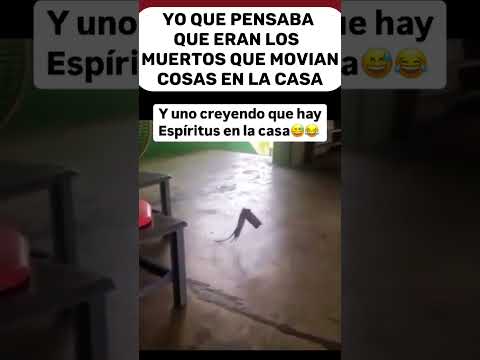 PENSABAS QUE LA LLORONA ESTABA EN TU CASA #humor #shortvideo #memes #funny #shorts #cute #ytshorts