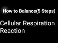 Balancing Cellular Respiration Equation