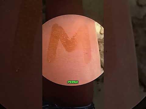 Novo estilo de Tatuagem 😁