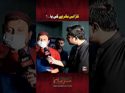 Bakray ke naam par ghaday ka gosht! 🤮 #shorts #sareaam #iqrarulhassan