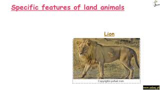 Features That are Different in Land and Aquatic Animals