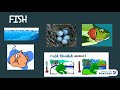 Animal Classification and Characteristics