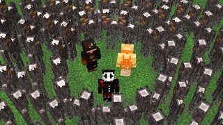 1000 Creakings VS Lifesteal SMP