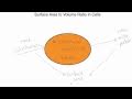 Surface Area to Volume Ratio in Cells