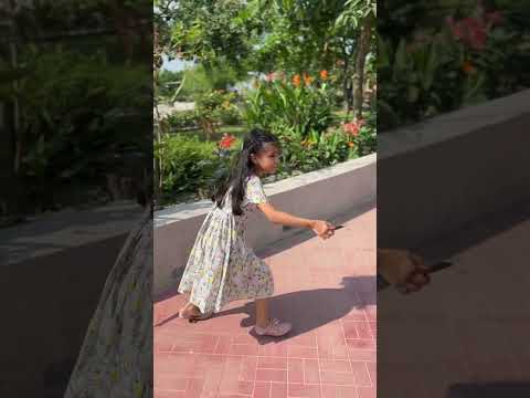 penguin bin 🐧 #ভাইরাল #টিকটক #funny