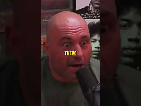 Joe Rogan Recalls Henderson vs Shogun Madness