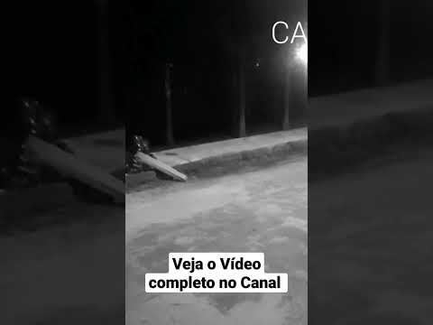 ?CLIQUE AQUI?      ———          #memes #humor #funny #comedia #comedy  #pets #dog #kids
