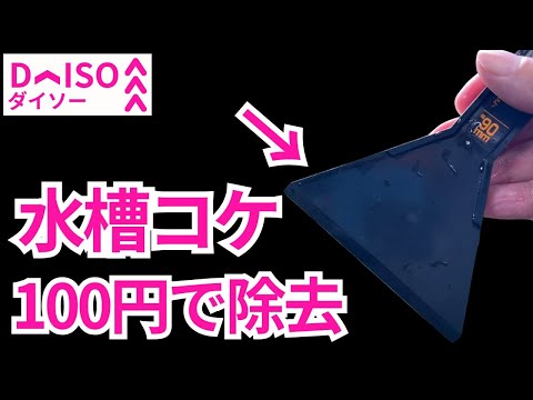 【衝撃】100円ショップの商品が、コケ取り道具として超優秀だった