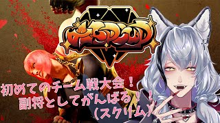 【スト6】 #ALPCUP スクリム1日目！！ 副将としてがんばるぞ！！✊【酒吞み狼系Vtuber】
