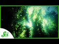 Seaweed and Climate Change