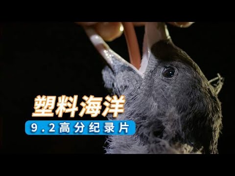 《塑料海洋》 《塑料海洋》