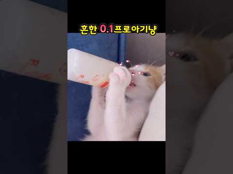 젖병들고 혼자 먹어요 …